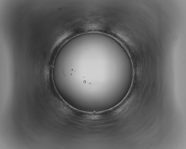 X0000111211309200907081254