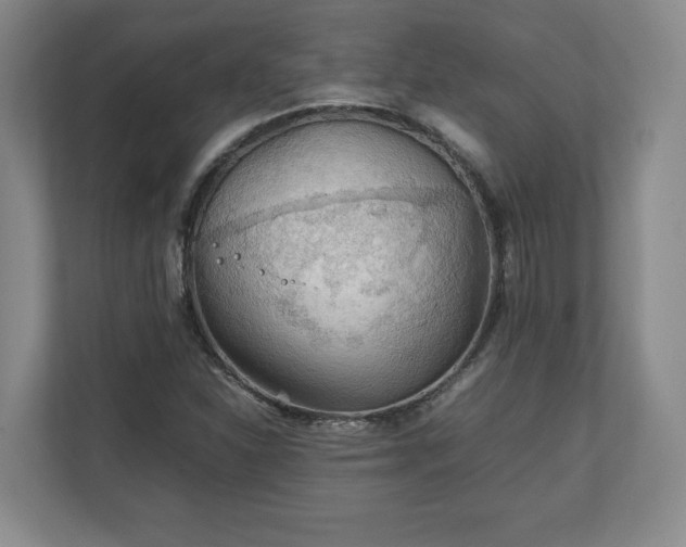 X0000111211310200907081254