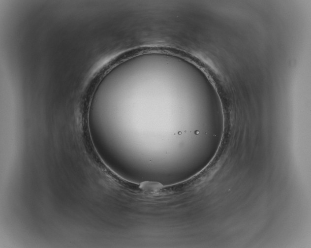 X0000111211311200907081254