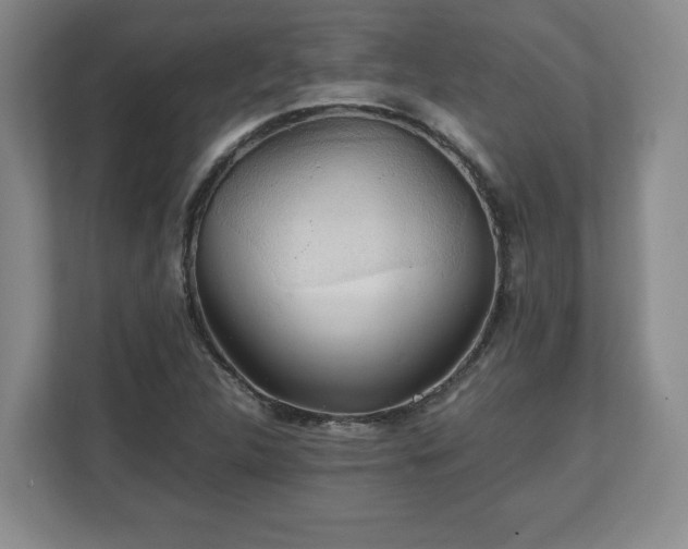 X0000111211312200907081254