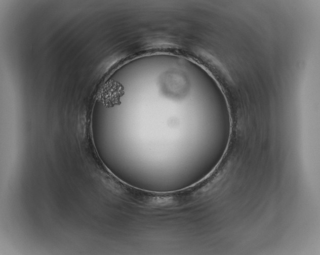 X0000111211313200907081254