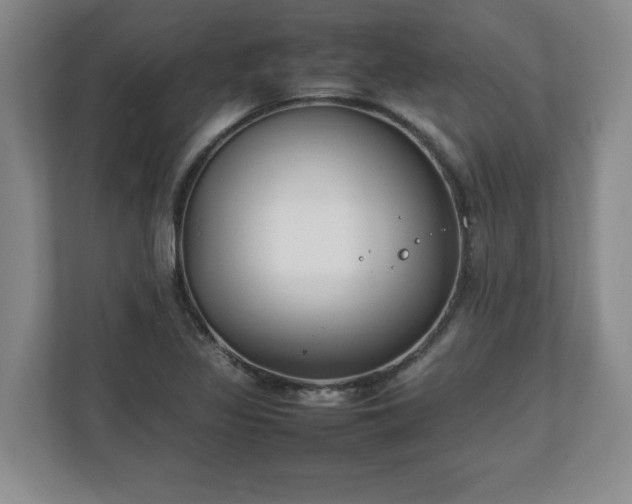 X0000111211317200907081254