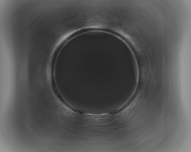 X0000111211319200907081254