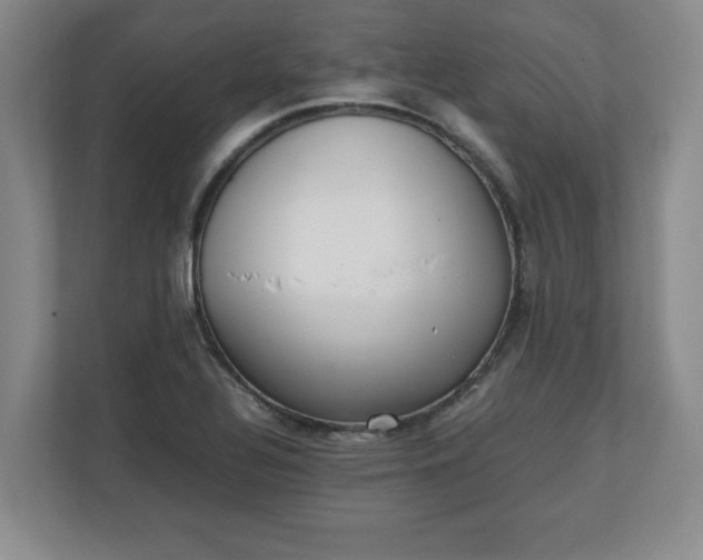 X0000111211320200907081254