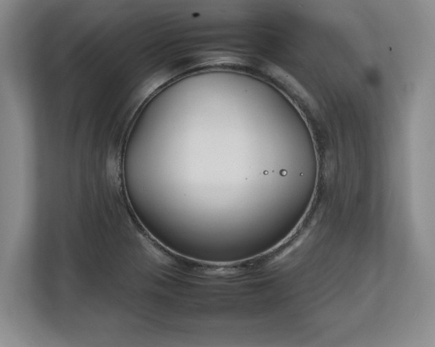 X0000111211321200907081254