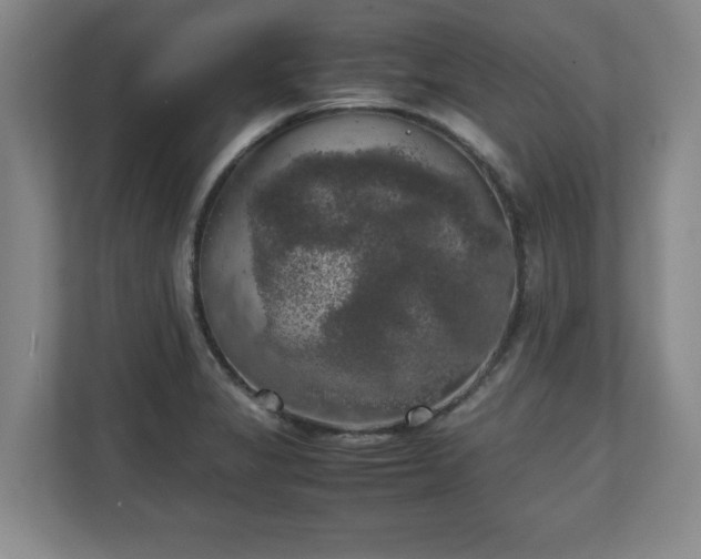 X0000111211325200907081254