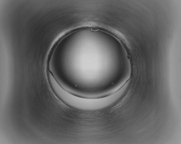 X0000111211326200907081254