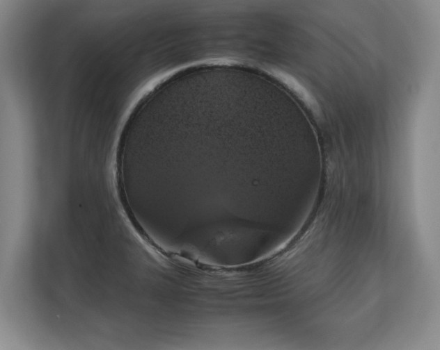 X0000111211327200907081254