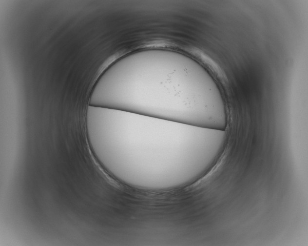 X0000111211329200907081254