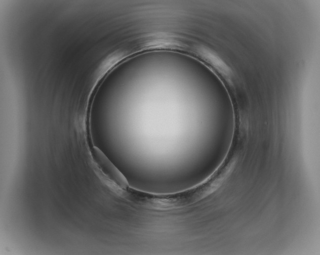 X0000111211330200907081254