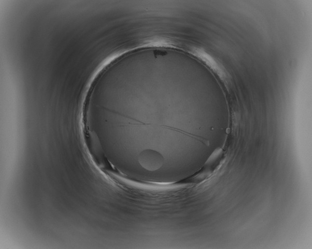 X0000111211331200907081254