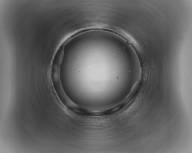 X0000111211332200907081254