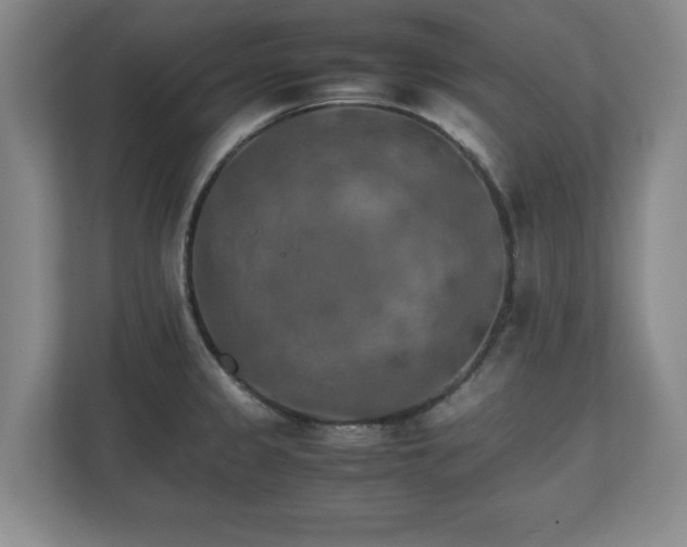 X0000111211333200907081254