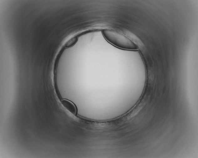 X0000111211334200907081254