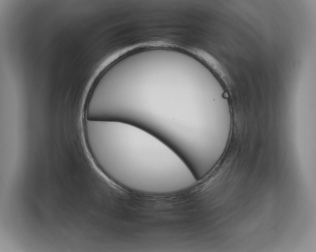 X0000111211335200907081254