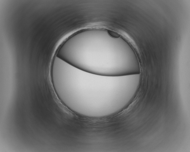 X0000111211336200907081254