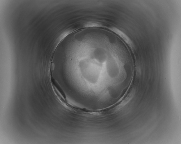 X0000111211337200907081254