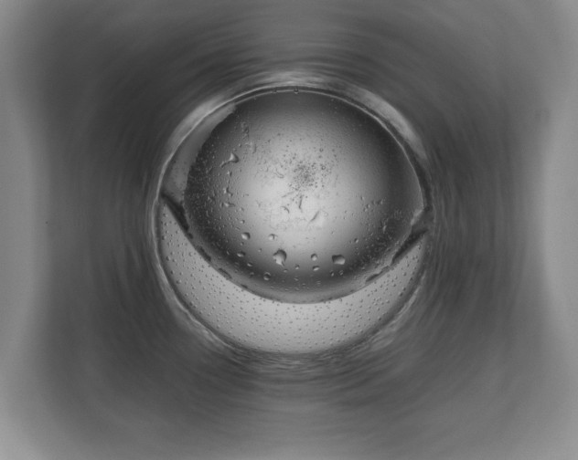 X0000111211338200907081254