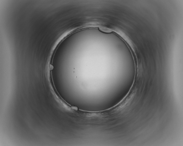 X0000111211341200907081254