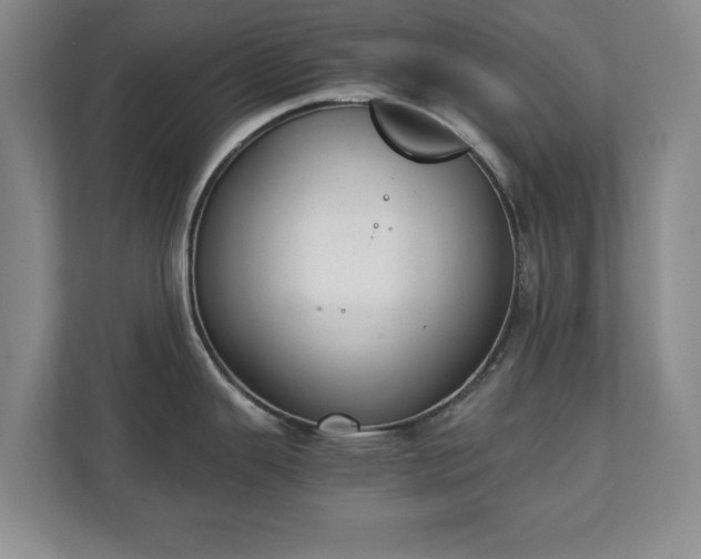 X0000111211343200907081254