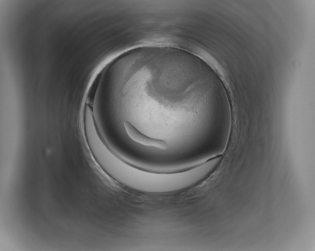 X0000111211344200907081254