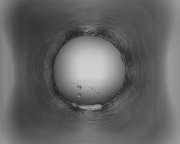 X0000111211345200907081253