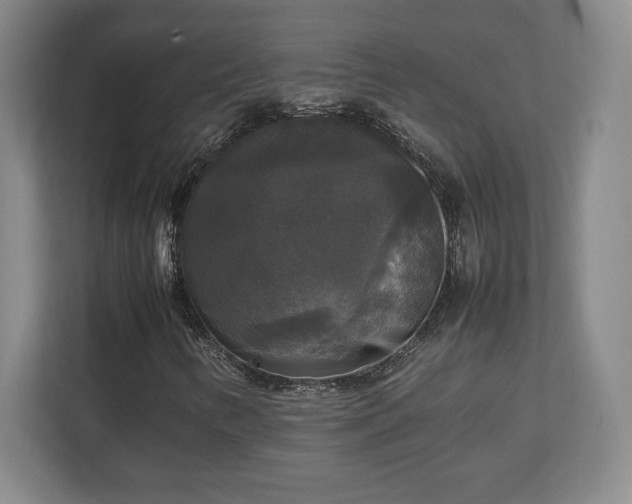 X0000111211346200907081253