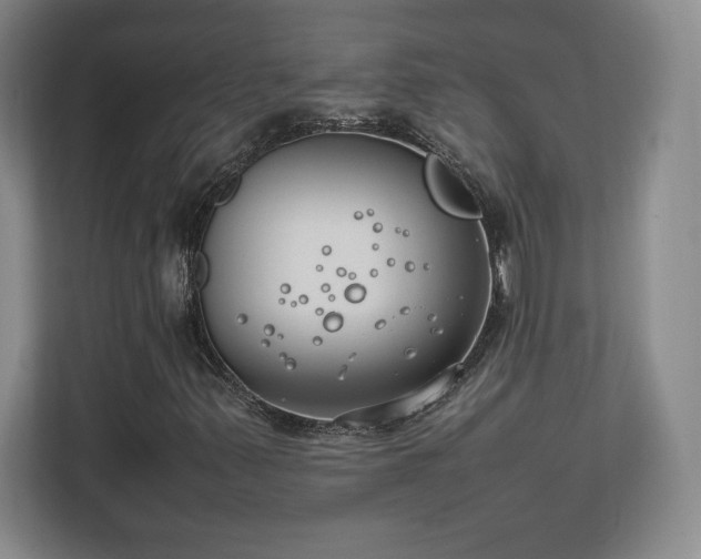 X0000111211347200907081253