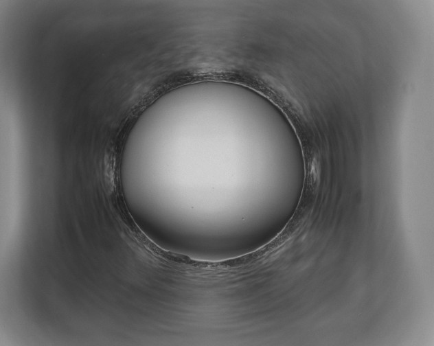 X0000111211348200907081253