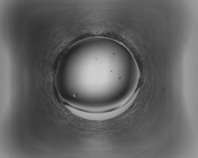 X0000111211349200907081253