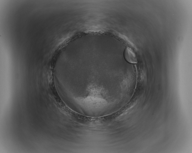 X0000111211350200907081253