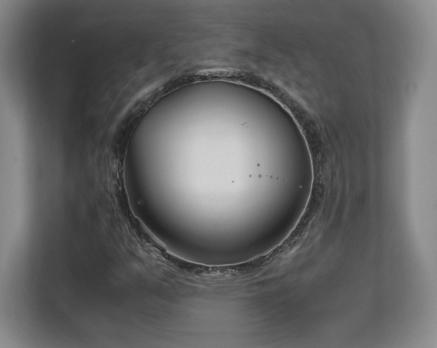 X0000111211351200907081253