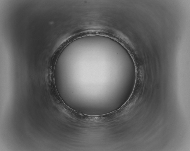 X0000111211352200907081253