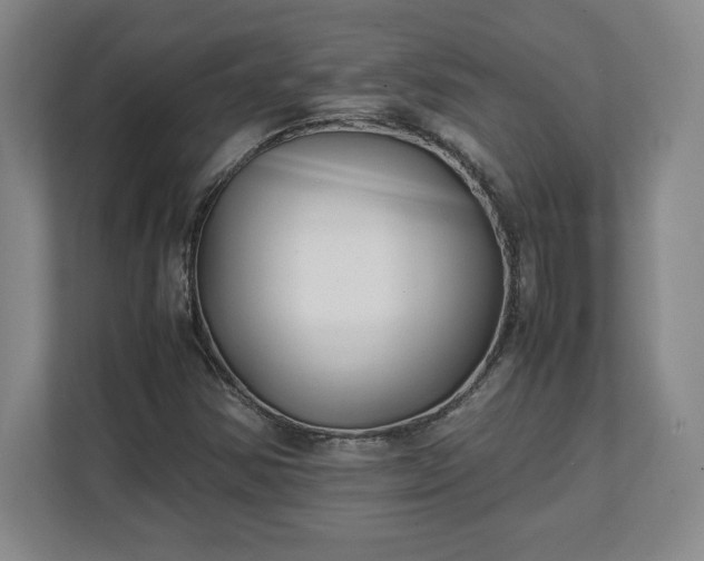 X0000111211354200907081253