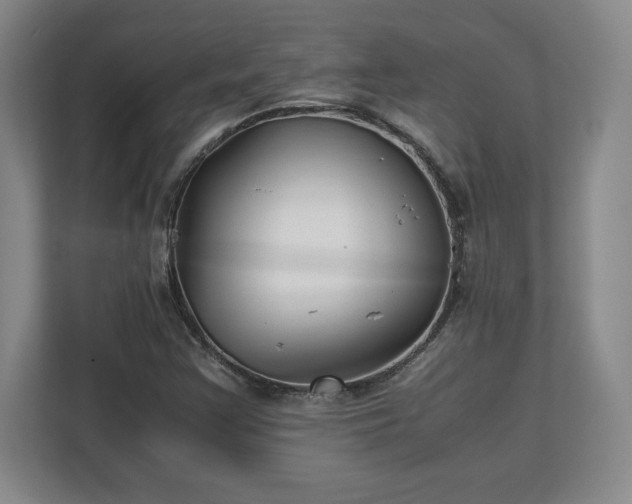 X0000111211355200907081253