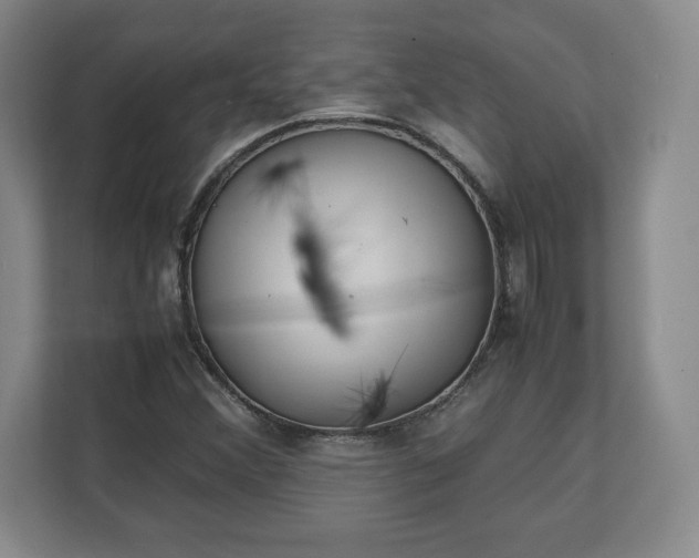 X0000111211356200907081253