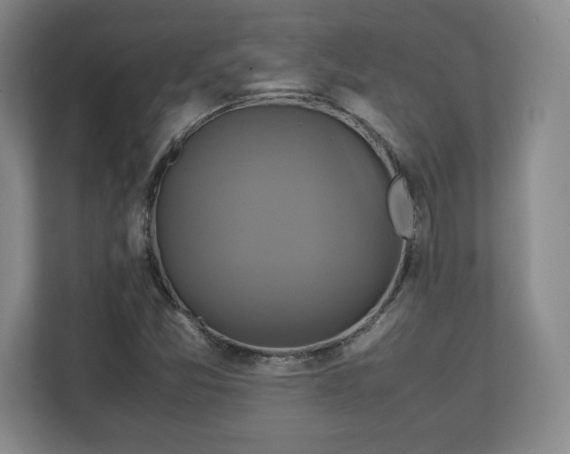 X0000111211357200907081253