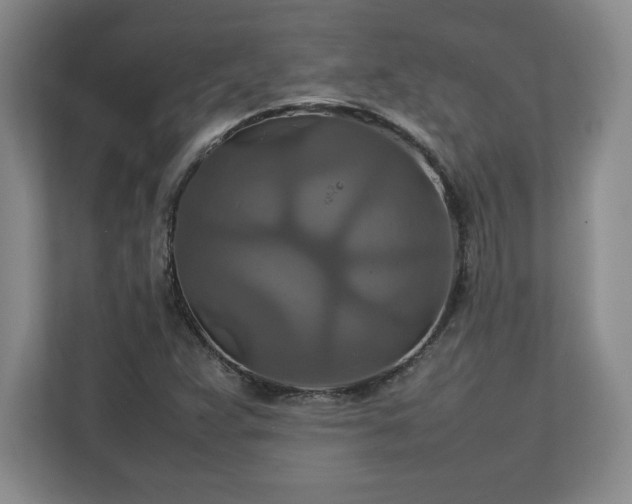 X0000111211359200907081253