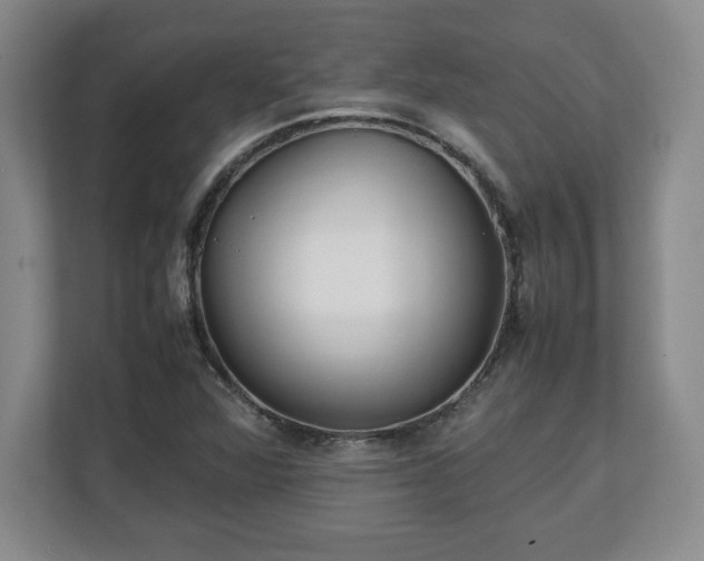 X0000111211360200907081253