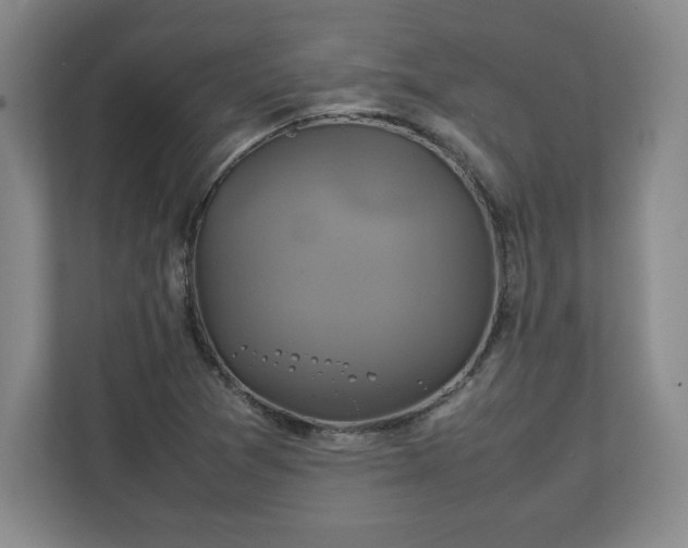 X0000111211361200907081253