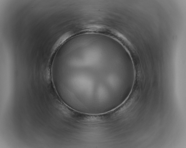 X0000111211362200907081253