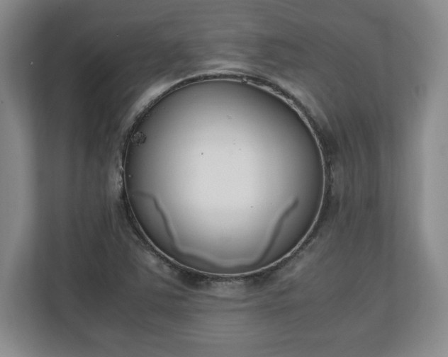 X0000111211363200907081253