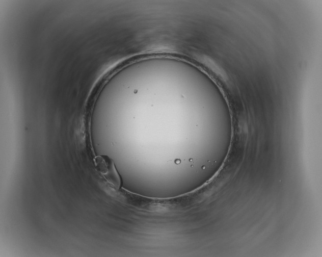 X0000111211364200907081253