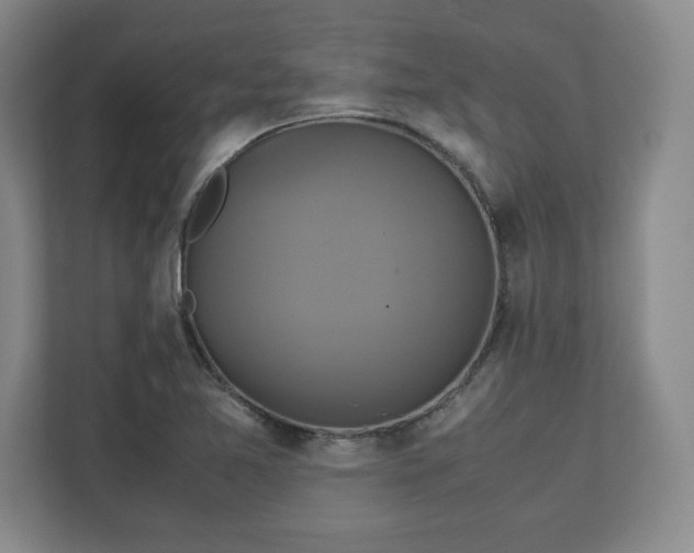 X0000111211365200907081253