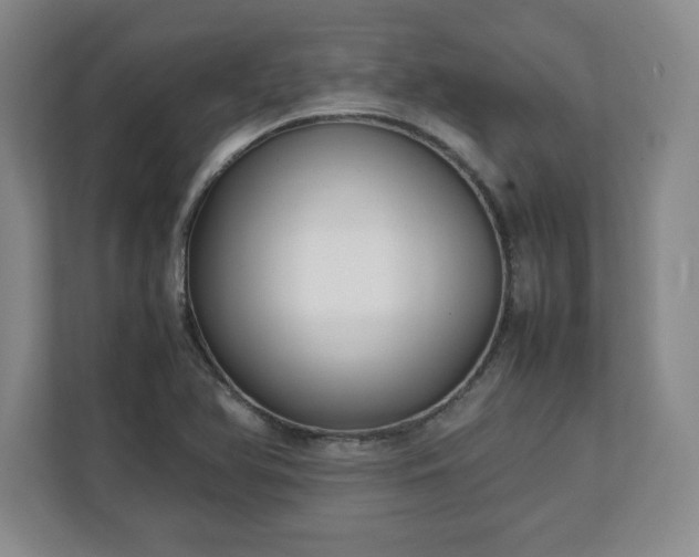 X0000111211366200907081253