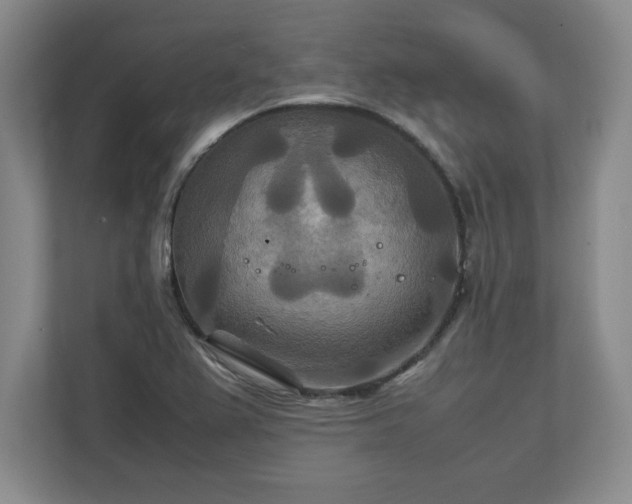 X0000111211367200907081253