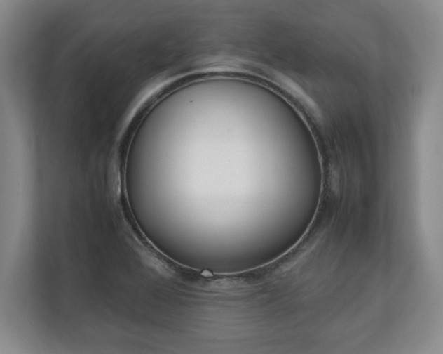 X0000111211368200907081253