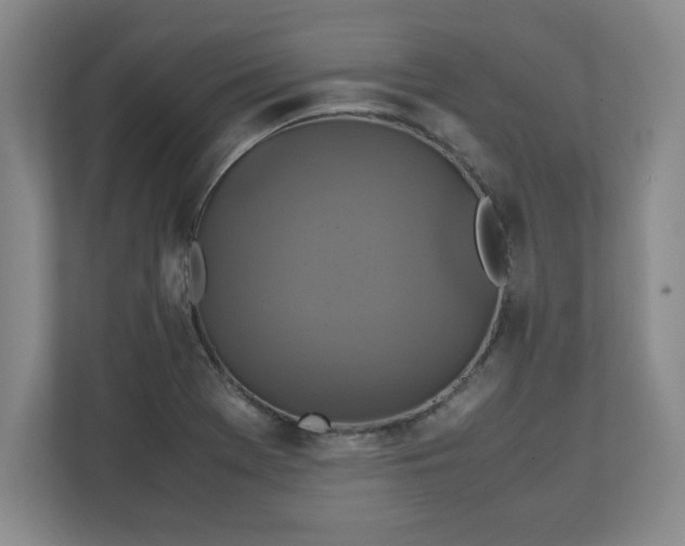 X0000111211369200907081253