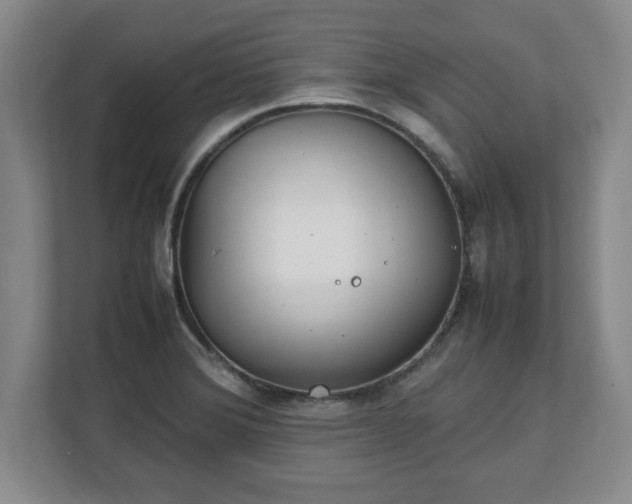 X0000111211372200907081253