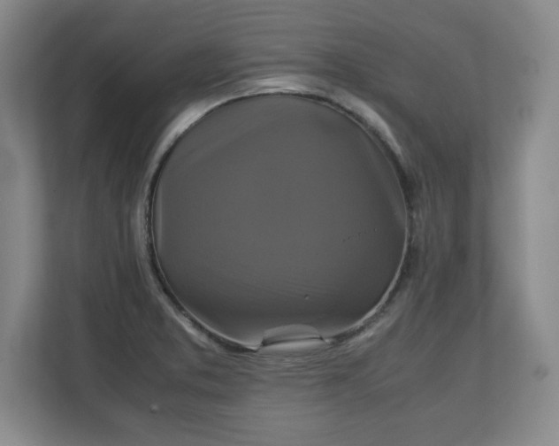 X0000111211373200907081253